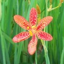 한성부동산 이미지