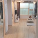 회원동245 이미지