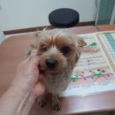 서울삼일교회 이미지