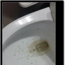 어전 화장실 이미지