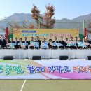 황산5일시장 이미지