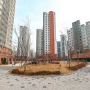 스테이 서로 이미지