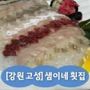 가진항물회식당 | 강원 고성 횟집 추천 샘이네횟집 모둠회 특대 + 스끼다시 제대로 나오는 집 (가진항 맛집)