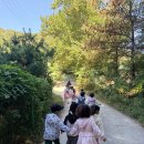 🍁예린유치원 숲 산책을 다녀왔어요🍁 이미지