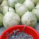 서산갯마을낙지 이미지