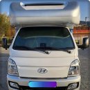 킹덤렌트카 이미지