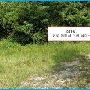 구미 (기양(연악)산과수선산)수다사 출발~ 이미지