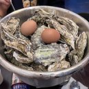 화요 독서 책수다 ON | [1월 일상기록] 2026 1월 1일부터 너무나 행복한 요즘!!!!