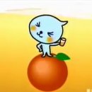 비에이치씨포항 이미지