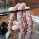 팔팔칼국수해물찜 네이버블로그