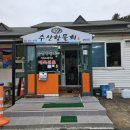 양양 맛집 수산항물회 후기
