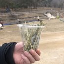 초원목장2 이미지