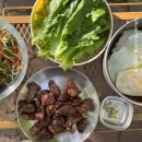 비채야영장 이미지