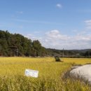 농협하나로마트 달성점 이미지