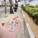 남천2동 | 🌊 [부산 당일치기] 오륙도에서 광안리까지, 완벽한 봄 나들이 여행코스 추천