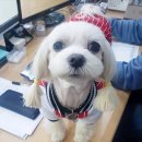 영인광고기획