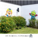 까사폴라리스 이미지