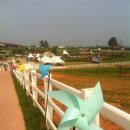 쭉돌농장 이미지