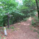 오도산 자연휴양림 이미지