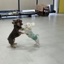 인생개획 이미지