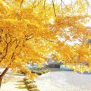 가곡초등학교보발분교장 이미지