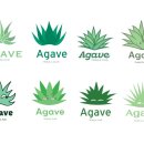 아가베 서울(Agave) 이미지