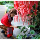 2025/12/12/금/마곡 서울식물원/동재작가 리딩 이미지