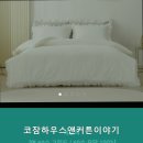 코잠하우스앤커튼이야기 | 세종시 커튼 코잠하우스앤커튼이야기 1. 상시 50% 할인 혜택 이용하기