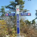 (다) 강천산(剛泉山) 단풍 이미지