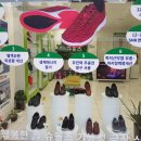 슈올즈 네이버블로그