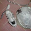 깨끗한운동화 이미지