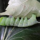 유미예능어린이집 이미지