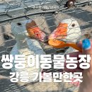 쌍둥농장 이미지