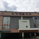 힐링 꽃꽃이 이미지