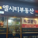 팔레드시즈부동산중개 이미지