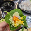 바다쭈꾸미 장안점 | 수원 성대횟집 추천 국가대표 회센터 방문 후기!