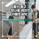 삼성레미안세탁 | 울산 카페트세탁 클리닝 냄새 걱정 없이 깨끗하게