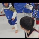 용인대 강한태권도장 이미지