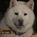 없음 이미지