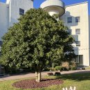 아난티 남해 이미지