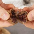 호두명가 이미지