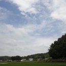 금남오이마을 이미지