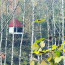 나는숲이다 이미지