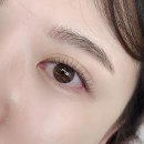 디자인삼희 | 내 민낯 자신감 책임져준 곳, 안양 래쉬 에이블 속눈썹펌 솔직 후기