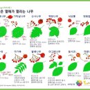 덕안근린공원 이미지