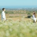 창진기획