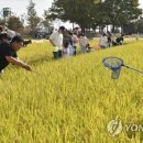 달고운청정사교마을 이미지