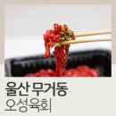 육회한 하루