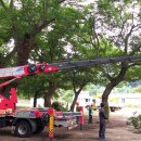 입석초교 이미지