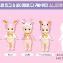 디어엔젤 이미지